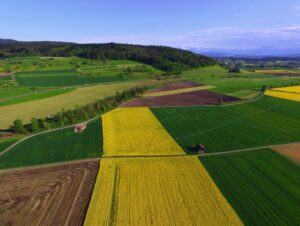 Dall’Inail un manuale per la prevenzione delle allergie da pollini negli ambienti di lavoro