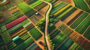 Agenzia delle Entrate: aggiornamento elenchi Comuni per particelle oggetto di variazioni colturali nell’anno 2025