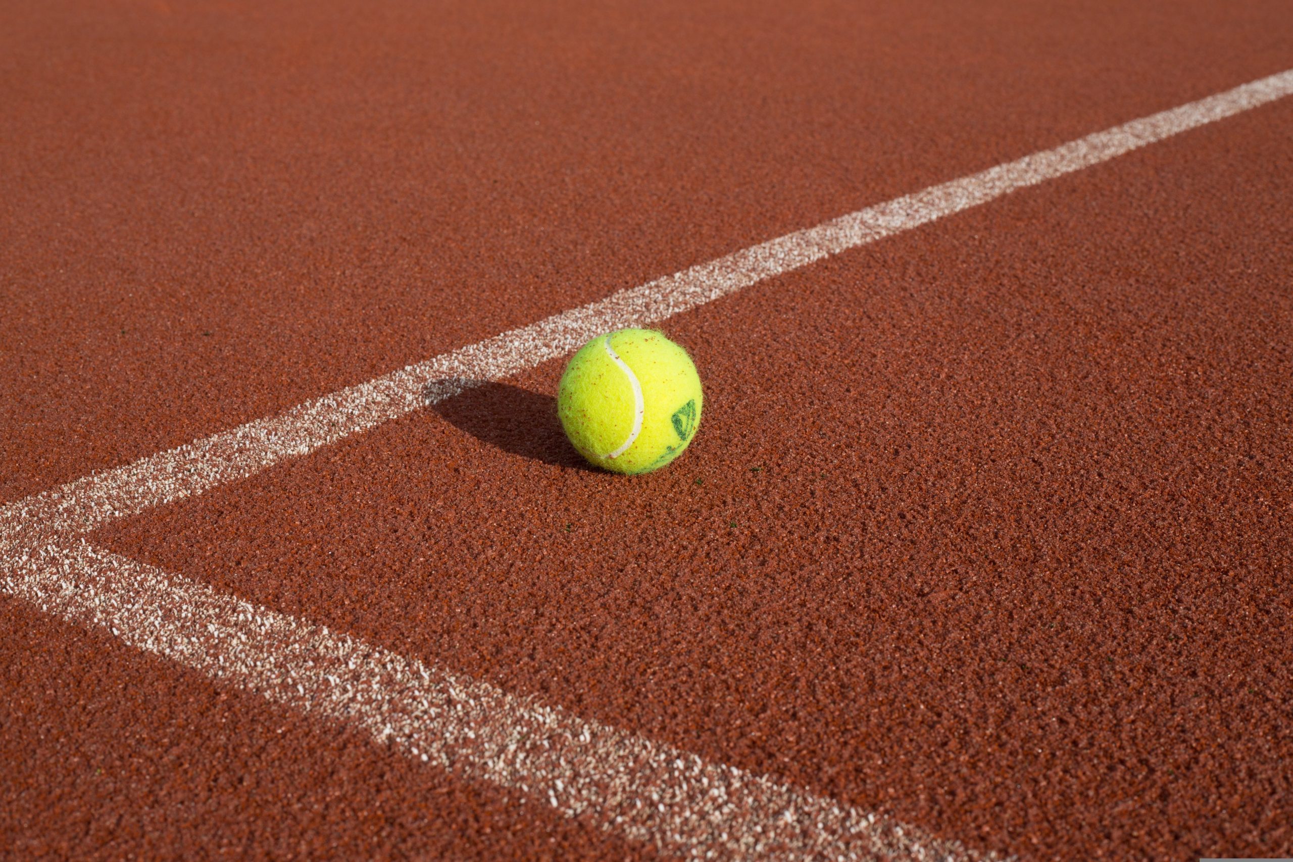 Il Collegio Geometri torinese organizza il “Torneo provinciale di tennis & padel 2026”